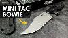 Compact And Capable Neck Knife Cold Steel Mini Tac Bowie